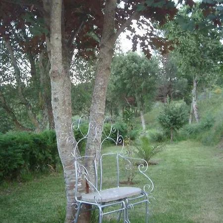 Eido Do Paraiso *